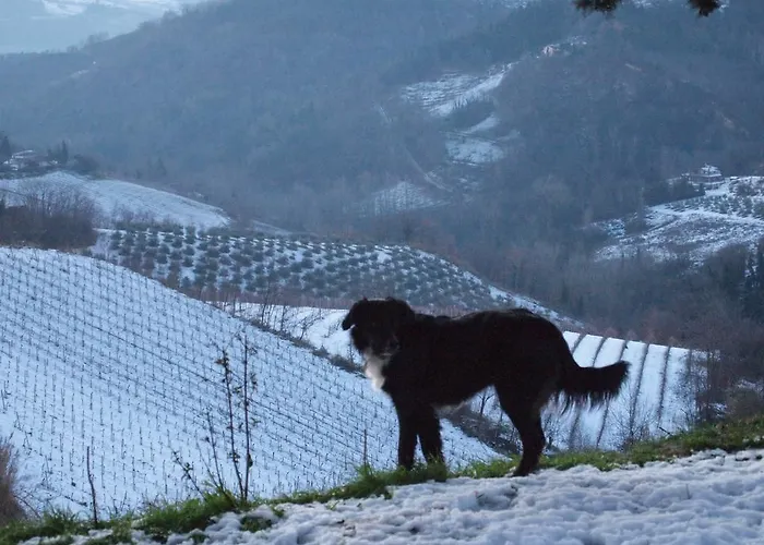 Bed and breakfast Montesterlino Cesena